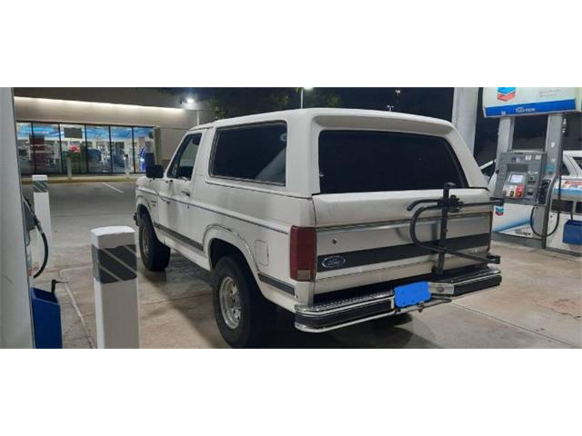 1986 Ford Bronco (CC-2111737) for sale in Cadillac, Michigan