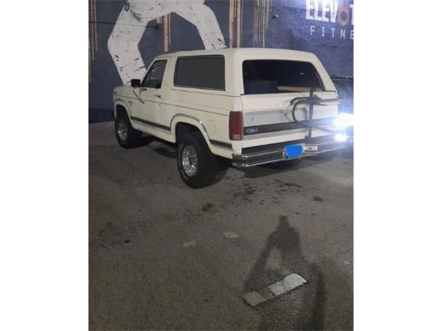 1986 Ford Bronco (CC-2111737) for sale in Cadillac, Michigan