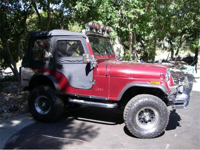 1980 Jeep CJ5 (CC-2111747) for sale in Cadillac, Michigan