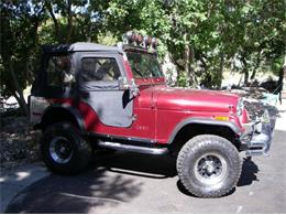 1980 Jeep CJ5 (CC-2111747) for sale in Cadillac, Michigan