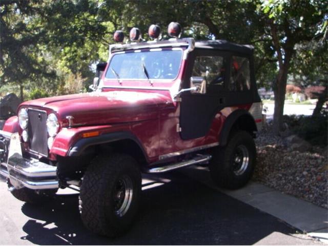 1980 Jeep CJ5 (CC-2111747) for sale in Cadillac, Michigan
