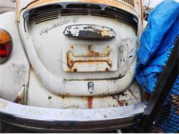 1975 Volkswagen Beetle (CC-2111753) for sale in Cadillac, Michigan
