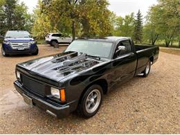1985 Chevrolet S10 (CC-2111762) for sale in Cadillac, Michigan