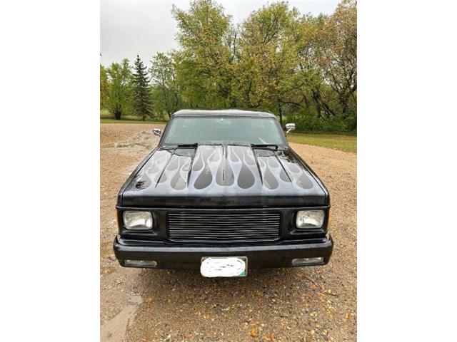1985 Chevrolet S10 (CC-2111762) for sale in Cadillac, Michigan