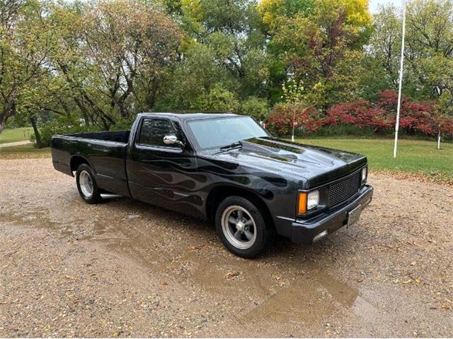 1985 Chevrolet S10 (CC-2111762) for sale in Cadillac, Michigan