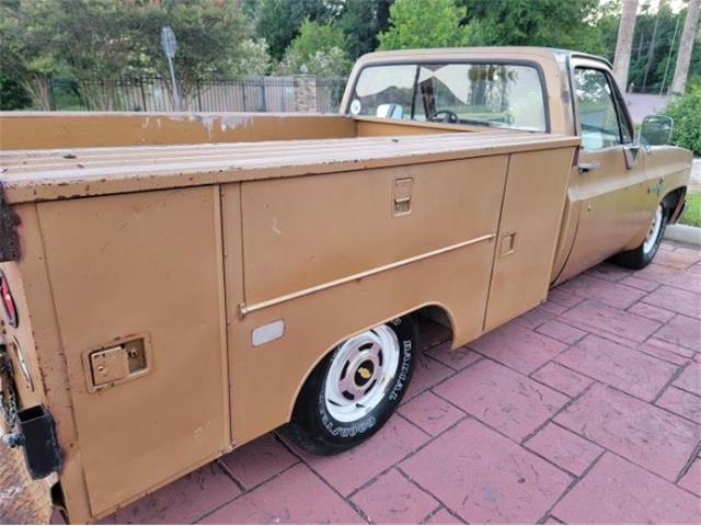 1984 Chevrolet C10 (CC-2111772) for sale in Cadillac, Michigan