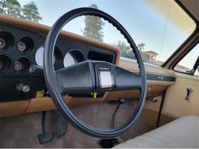 1984 Chevrolet C10 (CC-2111772) for sale in Cadillac, Michigan