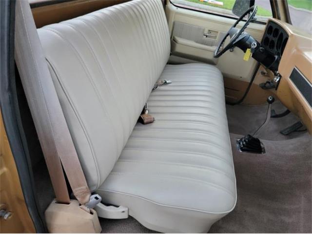 1984 Chevrolet C10 (CC-2111772) for sale in Cadillac, Michigan