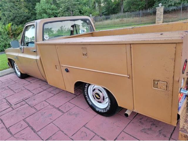 1984 Chevrolet C10 (CC-2111772) for sale in Cadillac, Michigan