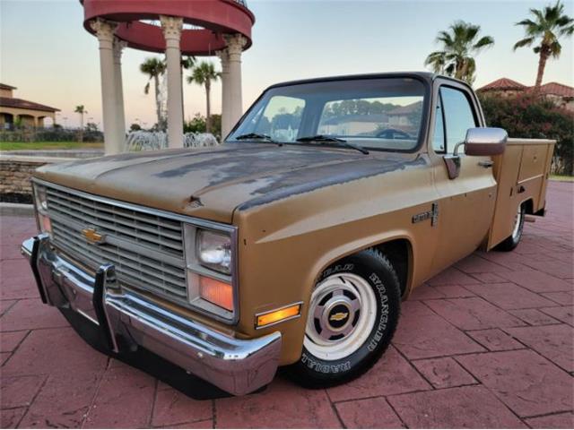 1984 Chevrolet C10 (CC-2111772) for sale in Cadillac, Michigan