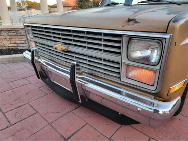 1984 Chevrolet C10 (CC-2111772) for sale in Cadillac, Michigan