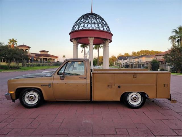 1984 Chevrolet C10 (CC-2111772) for sale in Cadillac, Michigan