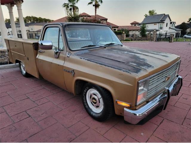 1984 Chevrolet C10 (CC-2111772) for sale in Cadillac, Michigan