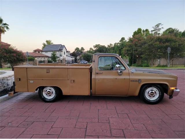 1984 Chevrolet C10 (CC-2111772) for sale in Cadillac, Michigan