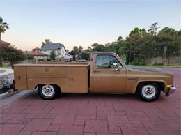 1984 Chevrolet C10 (CC-2111772) for sale in Cadillac, Michigan