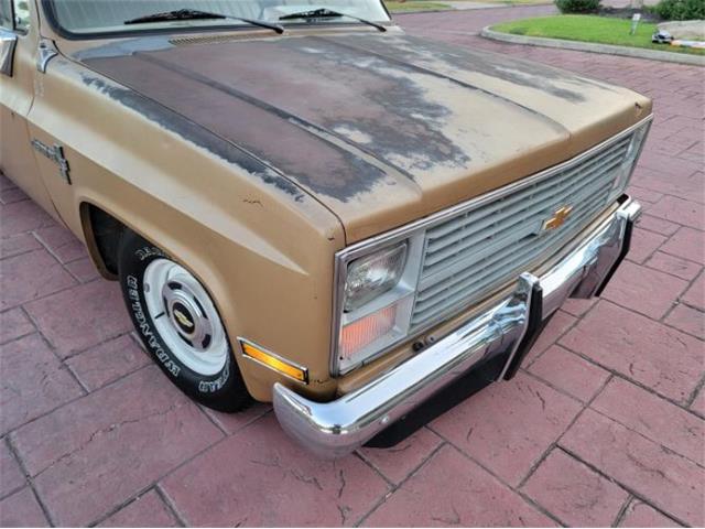 1984 Chevrolet C10 (CC-2111772) for sale in Cadillac, Michigan