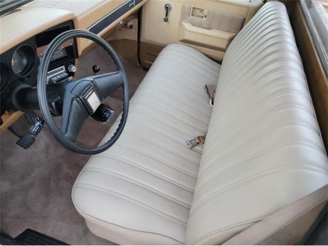 1984 Chevrolet C10 (CC-2111772) for sale in Cadillac, Michigan