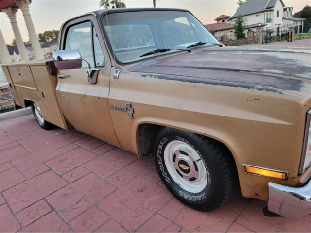 1984 Chevrolet C10 (CC-2111772) for sale in Cadillac, Michigan