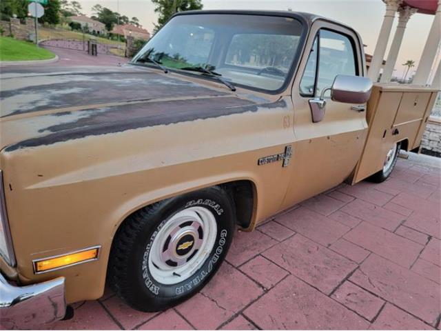 1984 Chevrolet C10 (CC-2111772) for sale in Cadillac, Michigan