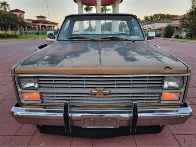 1984 Chevrolet C10 (CC-2111772) for sale in Cadillac, Michigan