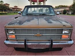 1984 Chevrolet C10 (CC-2111772) for sale in Cadillac, Michigan