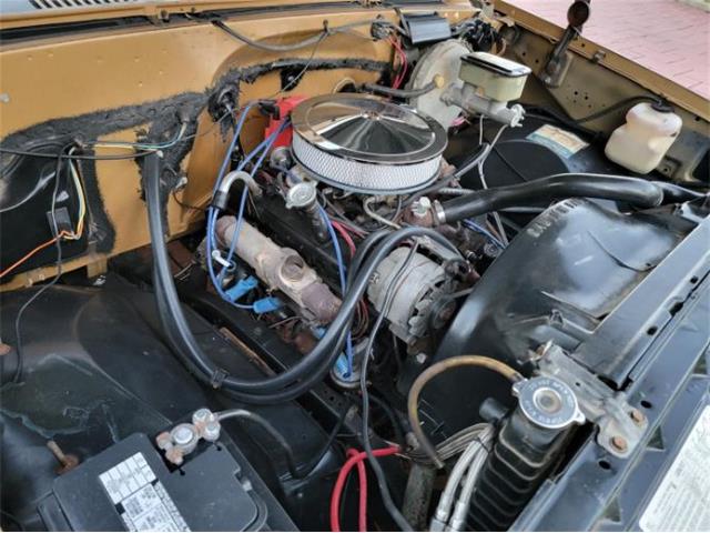 1984 Chevrolet C10 (CC-2111772) for sale in Cadillac, Michigan