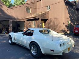 1976 Chevrolet Corvette (CC-2111774) for sale in Cadillac, Michigan