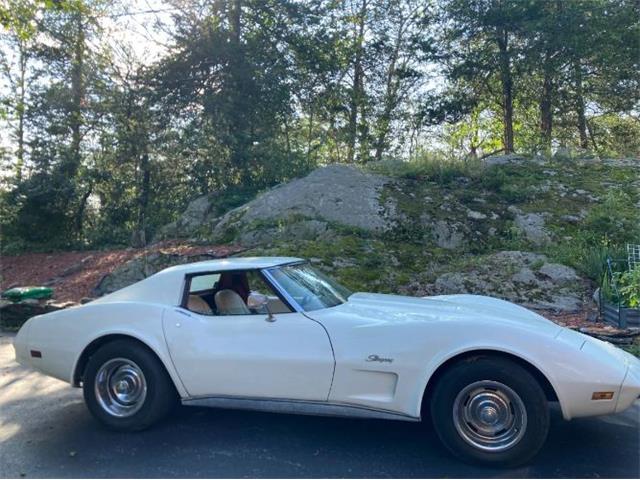 1976 Chevrolet Corvette (CC-2111774) for sale in Cadillac, Michigan