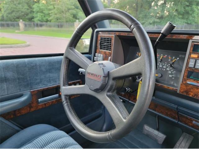 1993 Chevrolet C/K 1500 (CC-2111783) for sale in Cadillac, Michigan