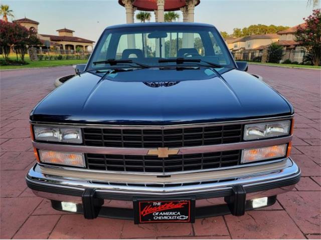 1993 Chevrolet C/K 1500 (CC-2111783) for sale in Cadillac, Michigan