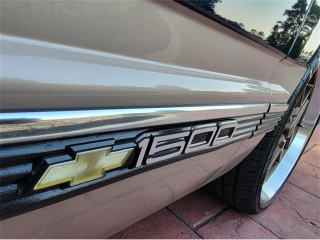 1993 Chevrolet C/K 1500 (CC-2111783) for sale in Cadillac, Michigan
