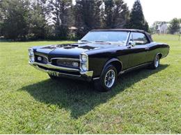 1967 Pontiac Tempest (CC-2111791) for sale in Cadillac, Michigan
