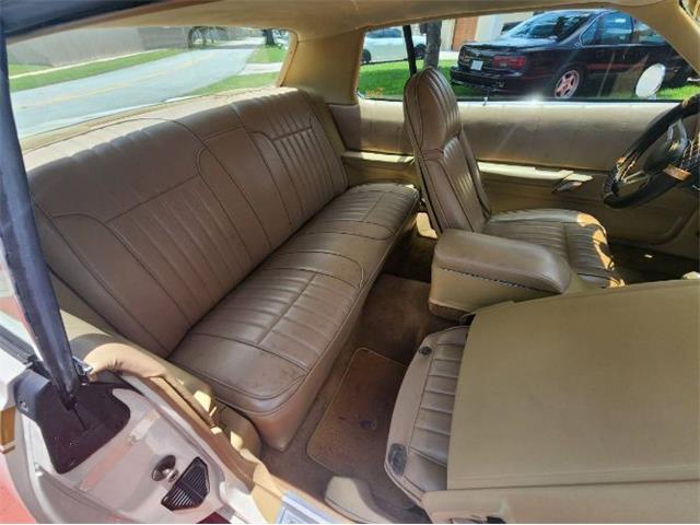 1975 Plymouth Road Runner (CC-2111798) for sale in Cadillac, Michigan