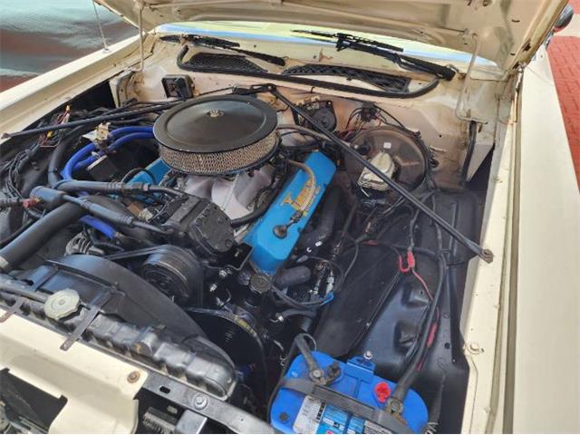 1975 Plymouth Road Runner (CC-2111798) for sale in Cadillac, Michigan