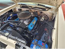 1975 Plymouth Road Runner (CC-2111798) for sale in Cadillac, Michigan