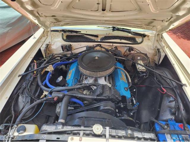 1975 Plymouth Road Runner (CC-2111798) for sale in Cadillac, Michigan