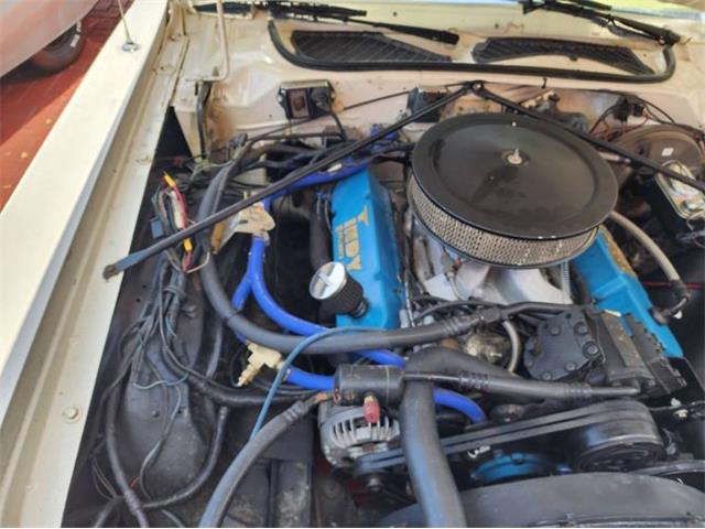1975 Plymouth Road Runner (CC-2111798) for sale in Cadillac, Michigan