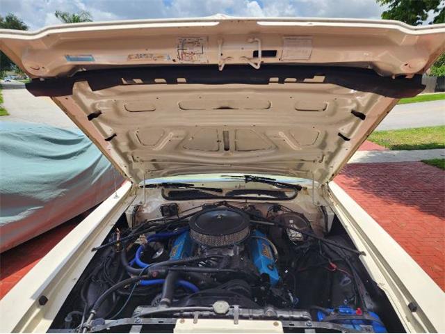 1975 Plymouth Road Runner (CC-2111798) for sale in Cadillac, Michigan