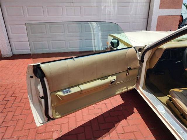 1975 Plymouth Road Runner (CC-2111798) for sale in Cadillac, Michigan
