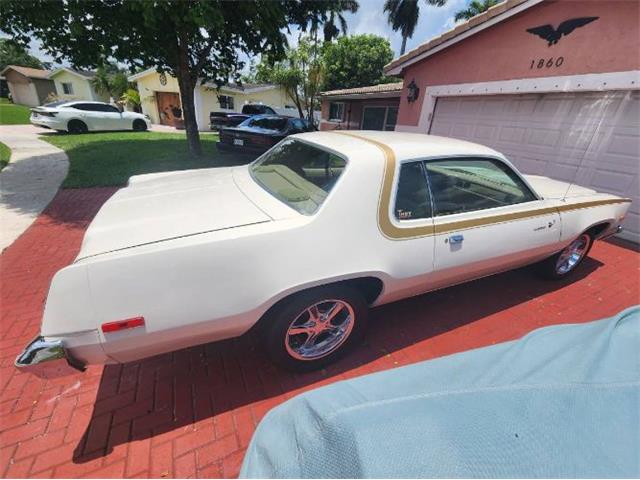 1975 Plymouth Road Runner (CC-2111798) for sale in Cadillac, Michigan