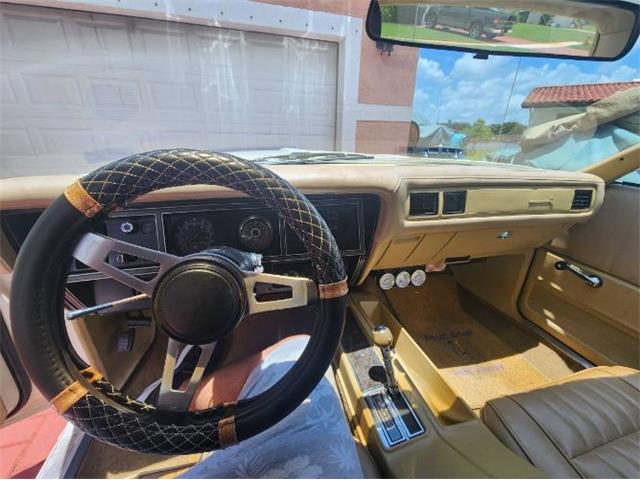 1975 Plymouth Road Runner (CC-2111798) for sale in Cadillac, Michigan