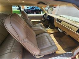 1975 Plymouth Road Runner (CC-2111798) for sale in Cadillac, Michigan