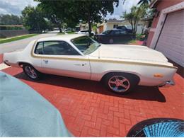 1975 Plymouth Road Runner (CC-2111798) for sale in Cadillac, Michigan