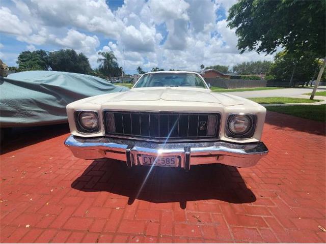 1975 Plymouth Road Runner (CC-2111798) for sale in Cadillac, Michigan