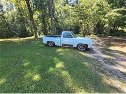 1978 Chevrolet Silverado (CC-2111803) for sale in Cadillac, Michigan