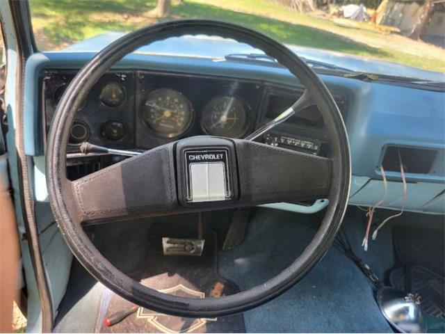 1978 Chevrolet Silverado (CC-2111803) for sale in Cadillac, Michigan