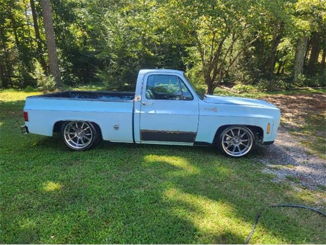 1978 Chevrolet Silverado (CC-2111803) for sale in Cadillac, Michigan