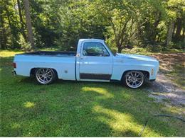 1978 Chevrolet Silverado (CC-2111803) for sale in Cadillac, Michigan