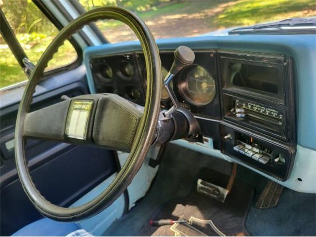 1978 Chevrolet Silverado (CC-2111803) for sale in Cadillac, Michigan
