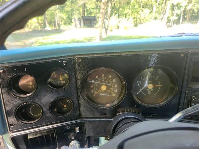 1978 Chevrolet Silverado (CC-2111803) for sale in Cadillac, Michigan